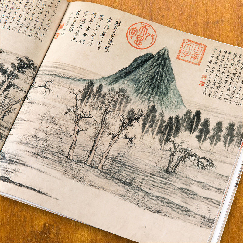 Qi Baishi Книга рисования от р – обзор и цена Chinese Calligraphy Practice Book