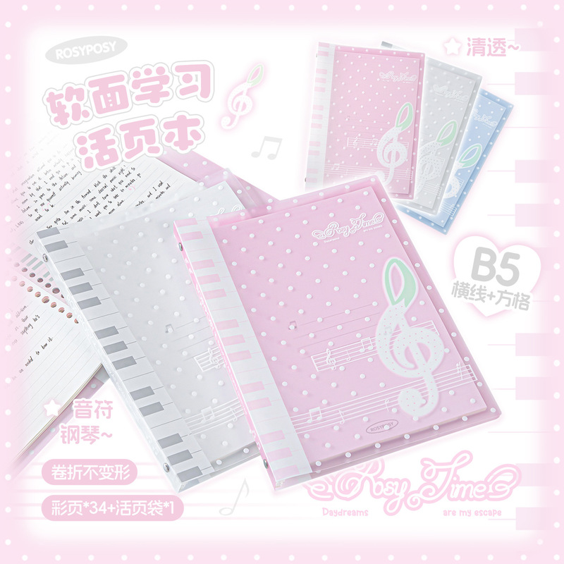 Блокнот Rosyposy Melody Loose  – обзор и цена Blank Sheet Music Notebook
